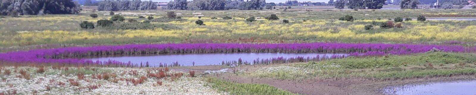 De Aarde kan zo mooi zijn