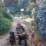 mijn treinreis naar Spanje